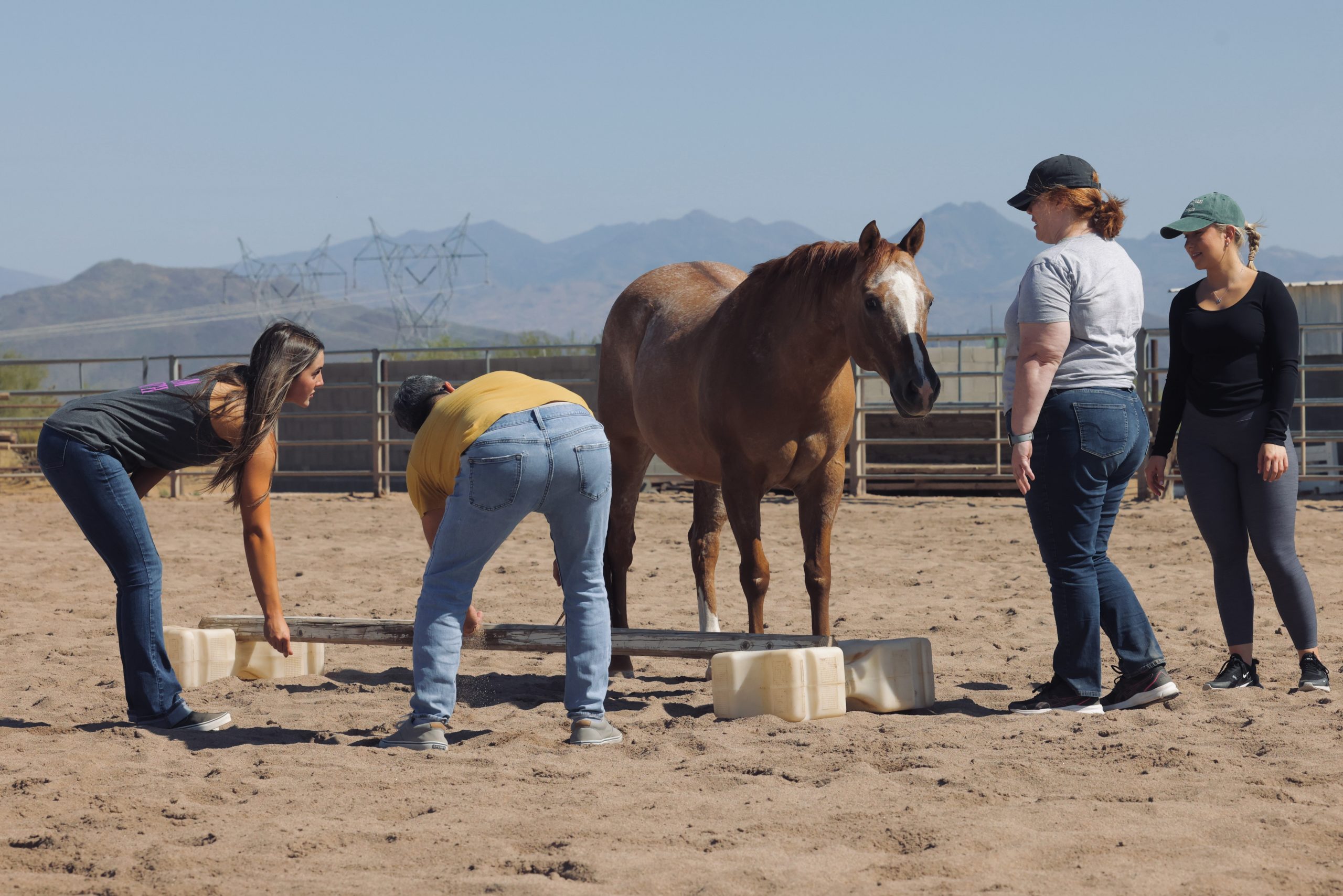 Iowa R&R Ranch: Where Roughin' It Meets Relaxation
