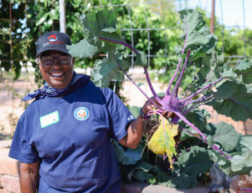 Finding Peace and Community: R&R Ranch AZ’s Collaboration with the Phoenix VA