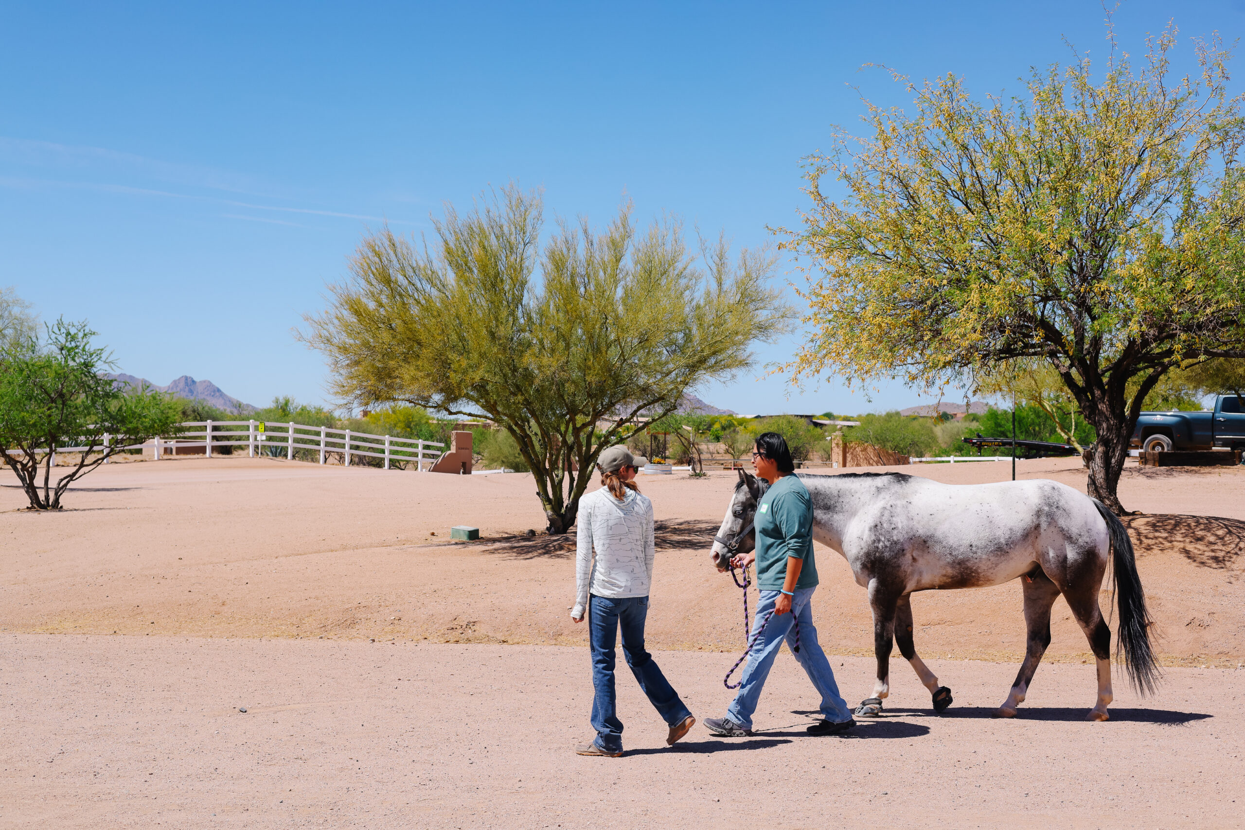 Rocking R Ranch Arizona Homepage - R&R Ranch AZ