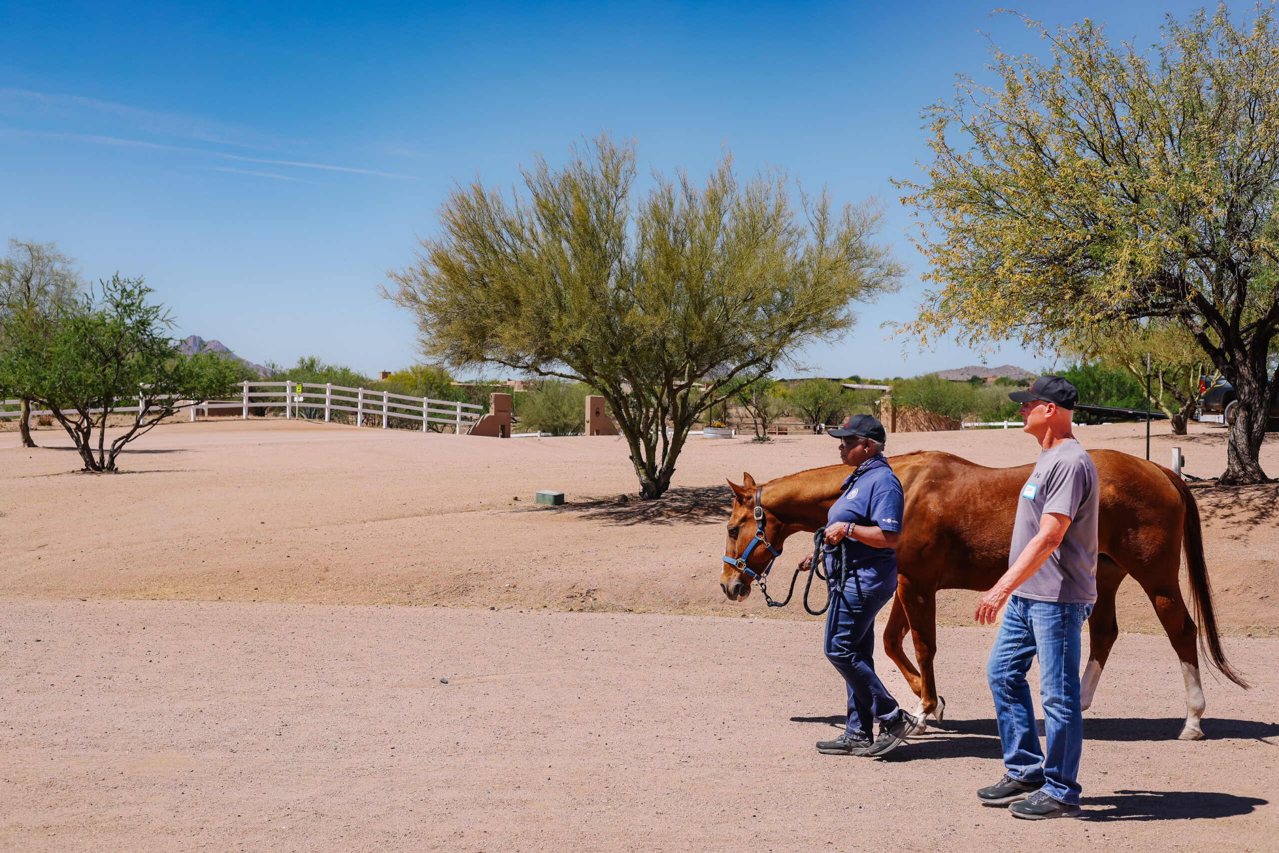 Reverse R And R Ranch Homepage - R&R Ranch AZ